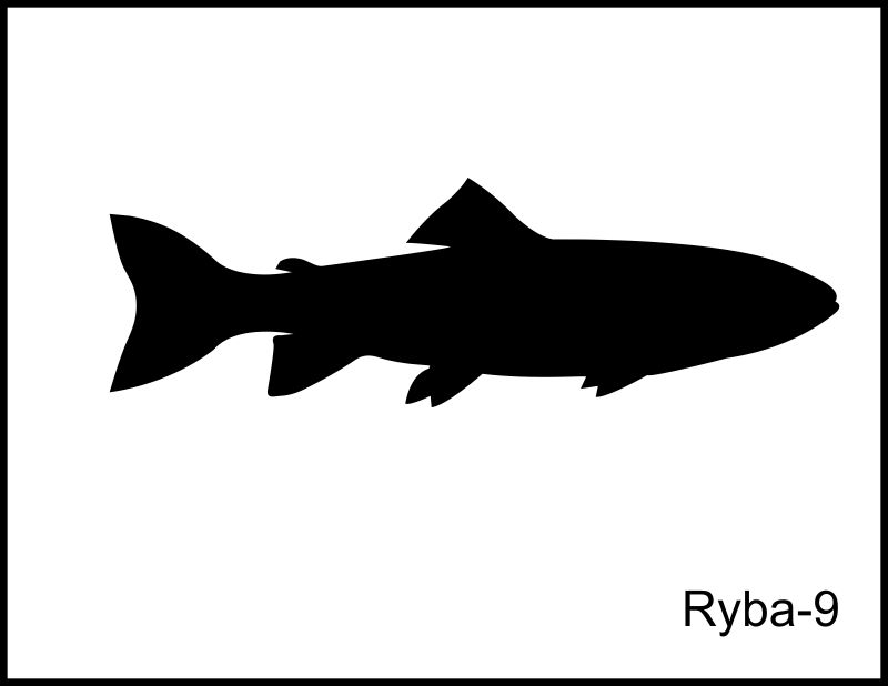 ryby 9